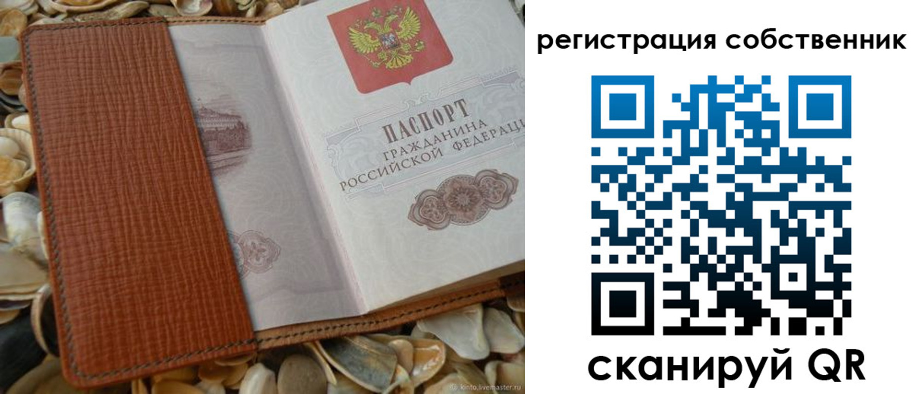 временная регистрация для школы в Благовещенске