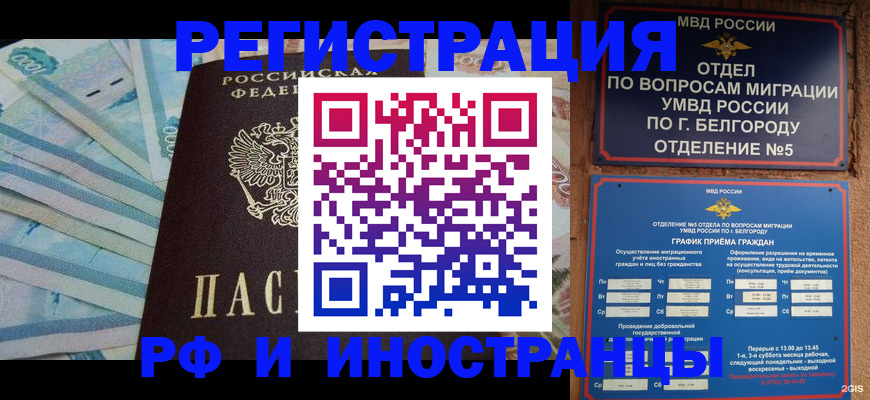 временная регистрация недорого в Благовещенске